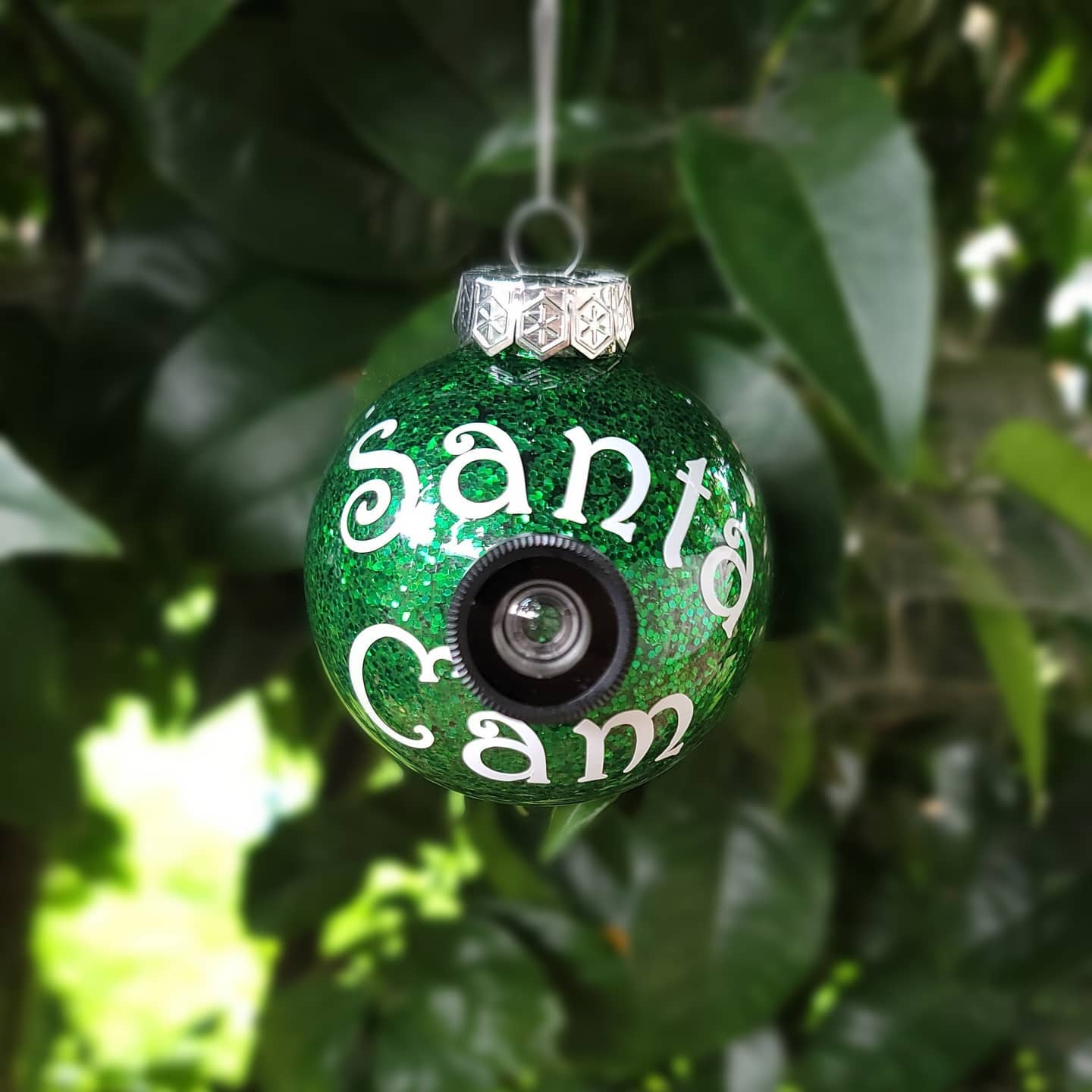 Santa Cam Ornament
