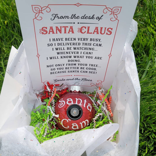 Santa Cam Ornament